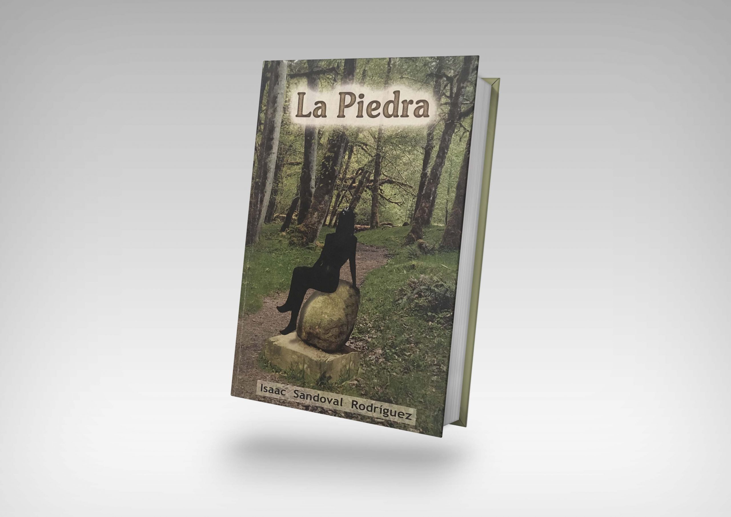 Libro La Piedra